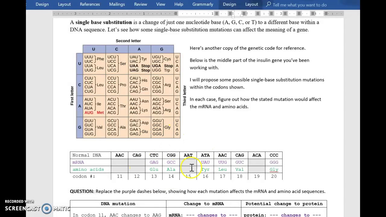 DNA Lab How-To - YouTube