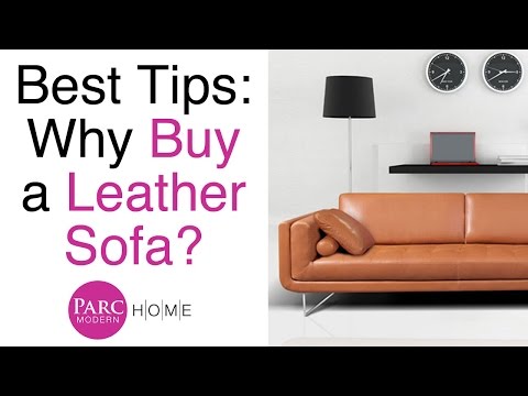 Insider Tips On Buying A Leather Sofa Furniture Parc Modern