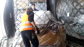 Loading Of Cathay Pacific 747-400 Freighter