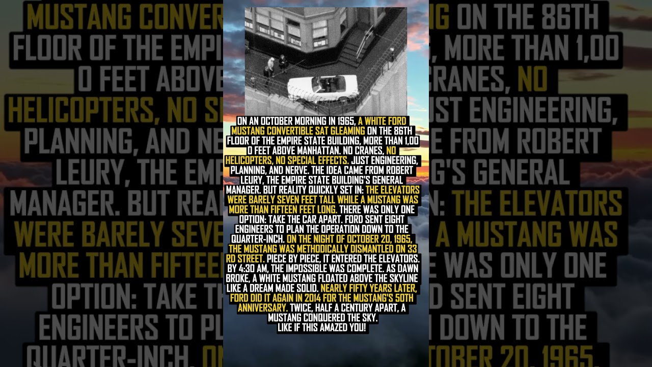 A MUSTANG IN THE CLOUDS