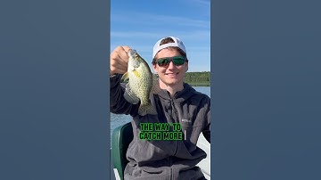 You NEED To Be Crappie Fishing With MINNOWS!! #shorts #fishing