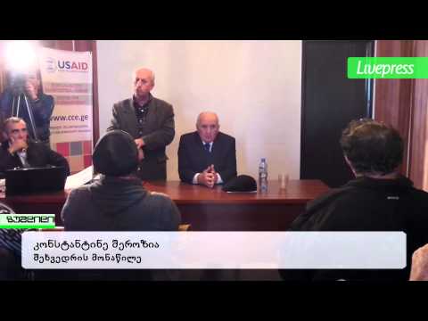 შეხვედრა მეგრული ენის სტატუსზე