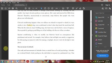 Personality Development Unit 2 - Video Lecture 2