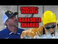 Summer mcintosh highlights sarasota sharks tuesday morning workout  practice  pancakes