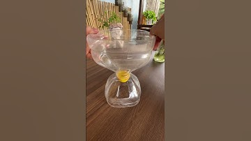 Cách làm chậu hoa từ vỏ chai nhựa tái chế