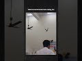 celling fan promoted to helicopter 😂😂,#share #funny #focusfuel