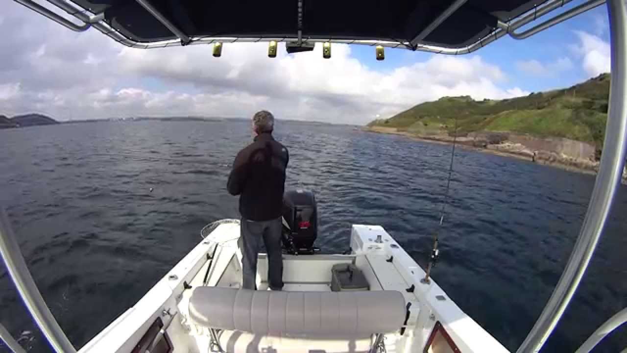 bass fishing ireland 