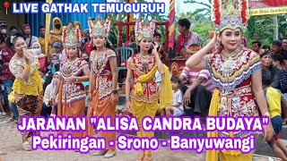 JANGER BERDENDANG JARANAN ALISA CANDRA BUDAYA LIVE WISATA GATHAK TEMUGURUH 20 FEBRUARI 2022