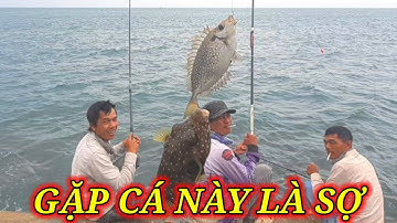 VUONG LT VLOG | câu cá biển nhơn hải | một ngày bội thu cá giò cùng anh,em | phần cuối