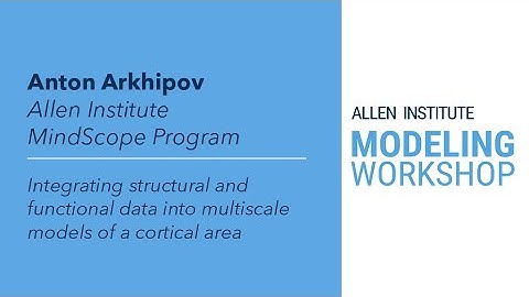 Allen Institute Modeling Workshop | Anton Arkhipov