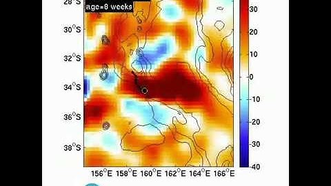 Eddy manual tracking in Aviso’s maps of sea level anomaly