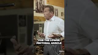 Insane Workout Reveals Secret to Sculpted Pectoral Muscles
