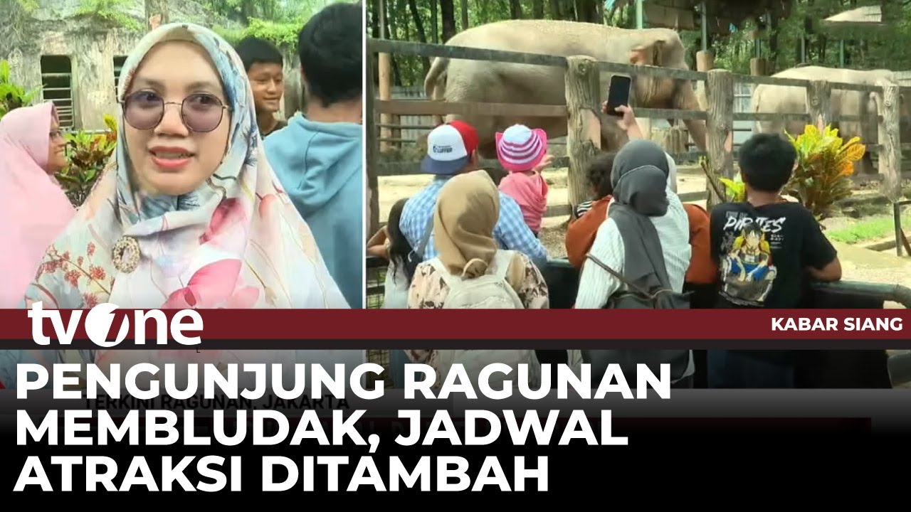 Libur Nataru 2025: Jumlah Pengunjung Taman Margasatwa Ragunan Meningkat | Kabar Siang