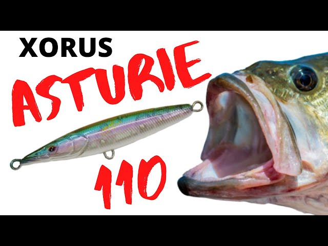 Xorus Asturie 110 Metal Ayu - Leurre De Pêche 11cm 15g Rattle Floating - Leurres Carnassiers Performants