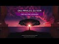 Das Privileg Zu Sein Ft Samuel Harfst Episches Orchester Cover Das Privileg Zu Sein Ft Samuel Harfst Episches Orchester Cover
