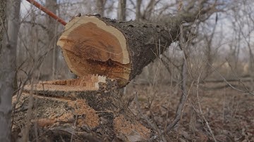 Iowa Habitat Consultation - The Management Advantage