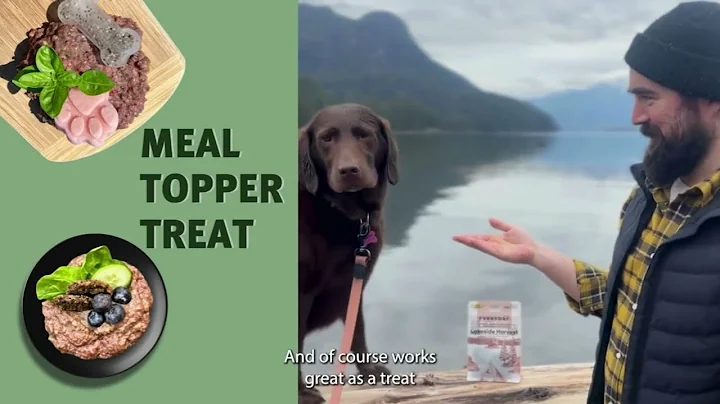 Better Than Freeze Dried: Meet the First Gently Dried Raw Dog Food from RDBK