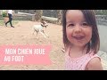 674 - MON CHIEN QUI JOUE AU FOOT [ VLOG FAMILLE ]