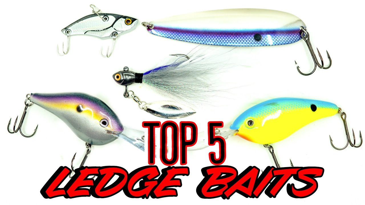 Top 5 Baits For Summer Ledge Fishing! 