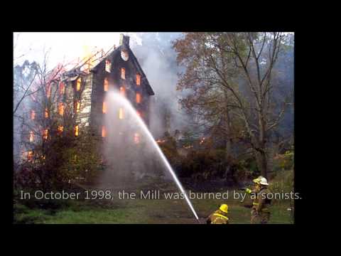 video:Chapman - Beverley Mill: From Founding to Fire and Beyond