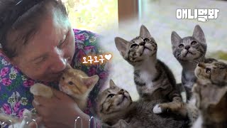 (감동 실화) 앞을 볼 수 없는 할머니와 11마리의 새끼 고양이들ㅣGrandma Who Feels Her Cats Only Through Her Fingertips screenshot 5