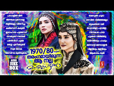 1970 - 80 കളിൽ തരംഗമായിരുന്ന ആ നല്ല മാപ്പിളപ്പാട്ടുകൾ Non Mappilappattukal