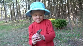 TOAD & SALAMANDER RESCUE