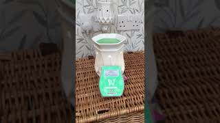 Alabaster warmer warming summer holiday Scentsy bar by Hayleysheavenscents