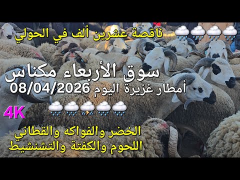 أثمنة الغنم واللحوم والخضر والقطاني سوق الأربعاء مكناس اليوم 08 04 2026