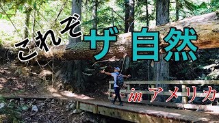 アメリカで過ごすアウトドアな１日〜トレッキング・釣り〜 Trekking, Fishing