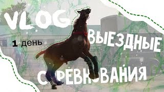 vlog:Лошадь проехалась по асфальту/1 ДЕНЬ соревнований/конный спорт/ByWindyFriz