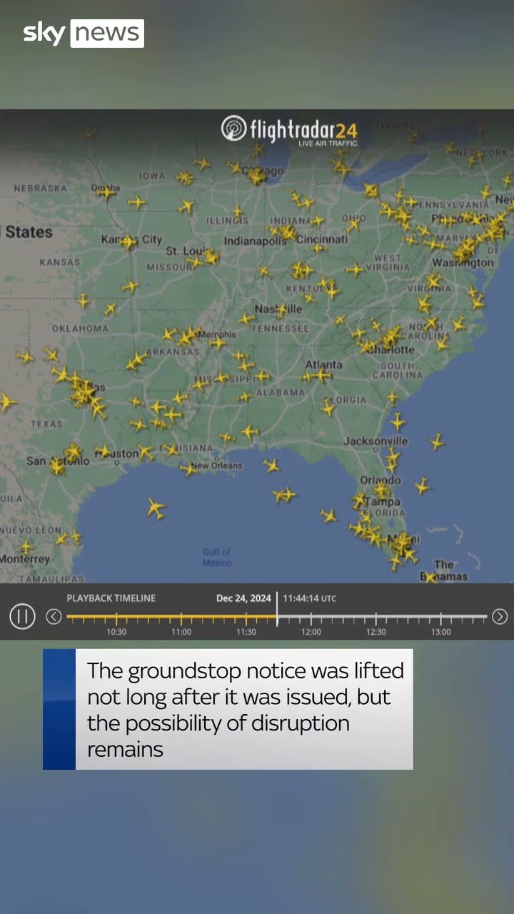 American Airlines forced to ground flights