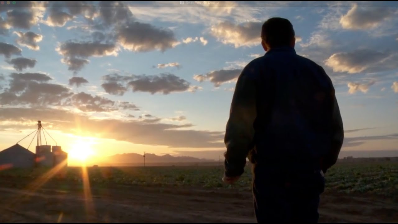 David Haznaw "Real People" Demo Reel