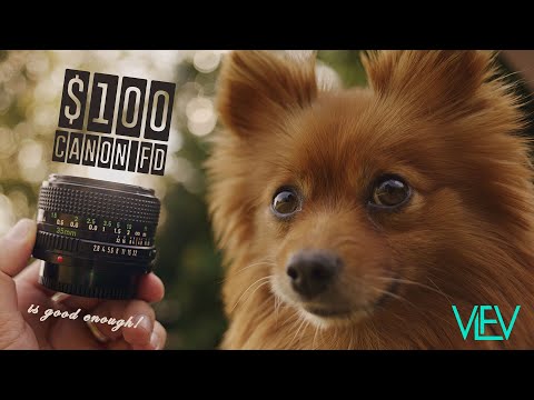 Canon FD doesn't have to be expensive! 35mm F2.8 Test Video | 4K