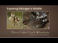 Exploring michigans wildlife animal track and scat introduction