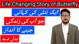Motivational Story of Butterfly in Urdu/Hindi By Haider Chan. Inspirational and Life Changing Video.