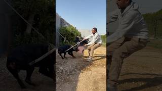 يوم تدريب فى المزرعه.🔥🔥