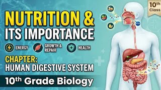  Nutrition and Its Importance | Human Digestive System | Class 10 Biology