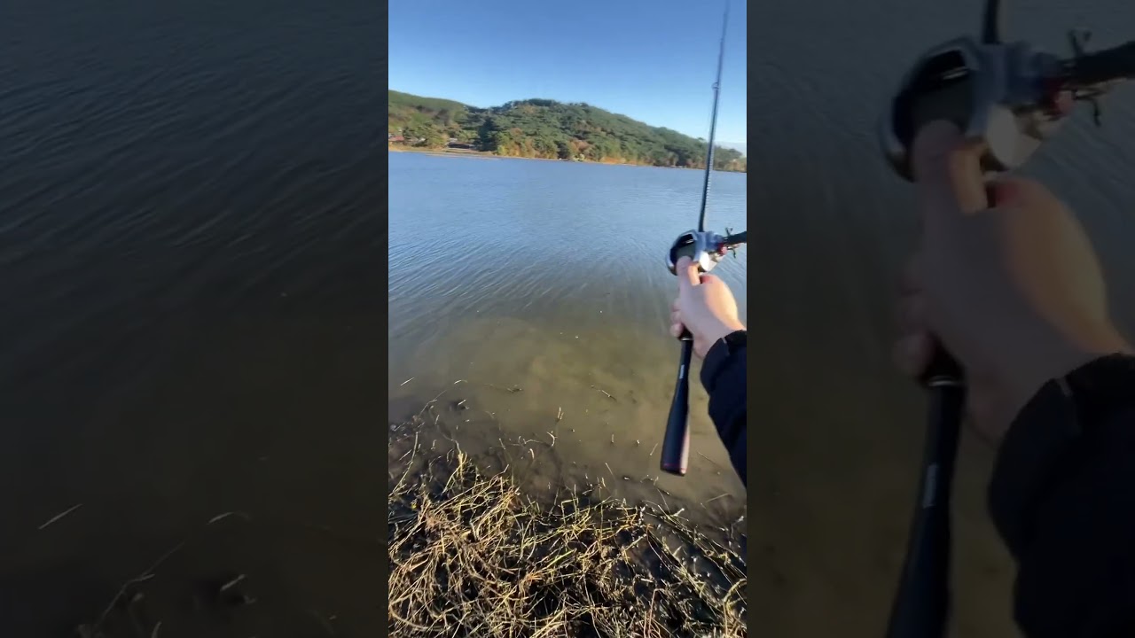 shimano scorpion dc casting