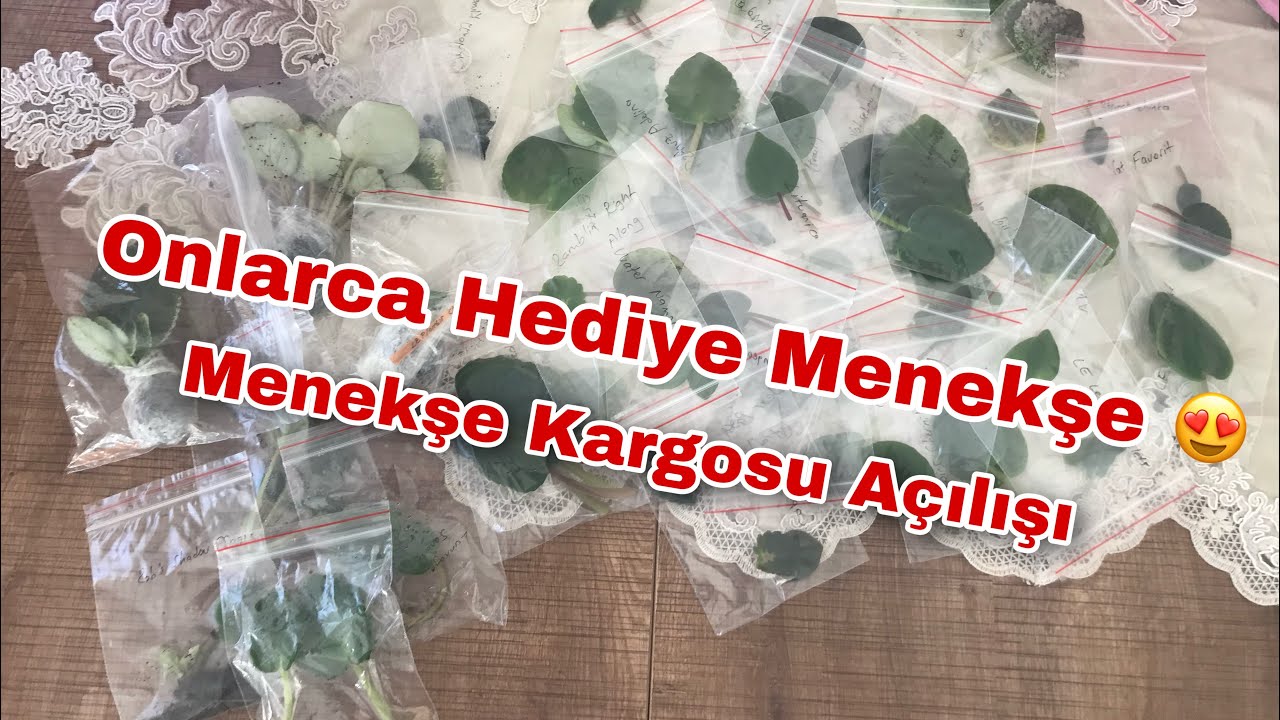 Onlarca Hediye Menekşe Geldi 😍