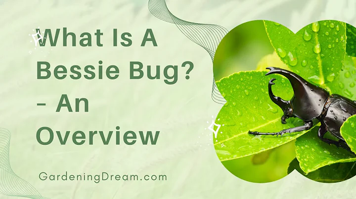 What Is A Bessie Bug  An Overview