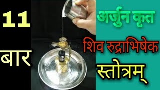 श्री लघु रुद्राभिषेक । Laghu Rudri । पुराणोक्त रुद्राभिषेक। Rudra Abhishek 11 Time । Rudri Paath screenshot 5