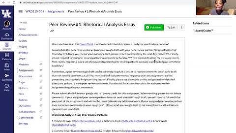 Peer Review #1: Rhetorical Analysis Video