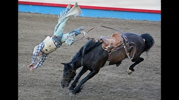 Red Dead Online: [JUMP TO HORSE]