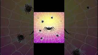 SPIDER FACTS