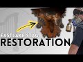 Restoring a 130-Year-Old Carved Deer Head Shelf | Victorian Woodworking