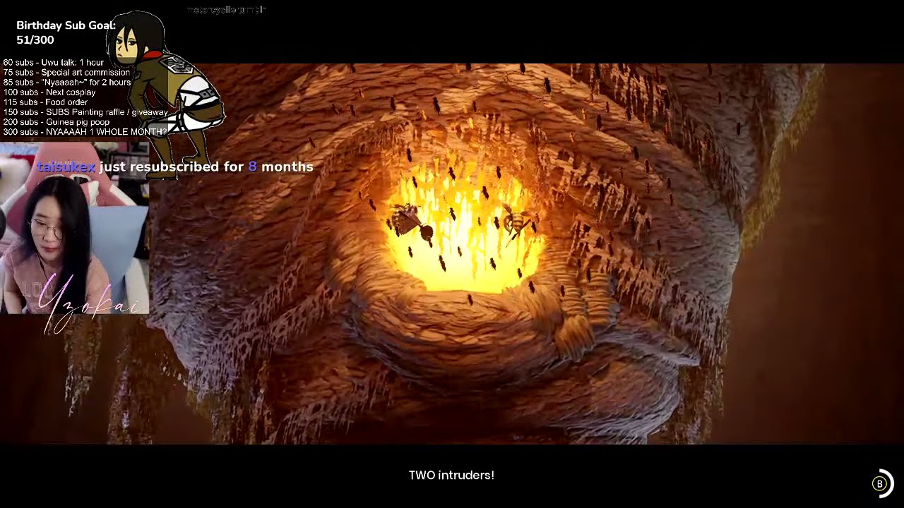 rose gold superstars