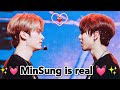 MinSung is real 🐱💓🐿️ (EP:5)