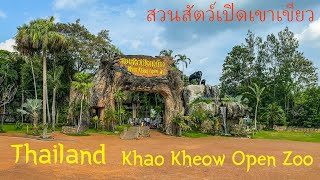 Thailand, Khao Kheow Open Zoo. Зоопарк Кхао Кхео, Тайланд. สวนสัตว์เปิดเขาเขียว
