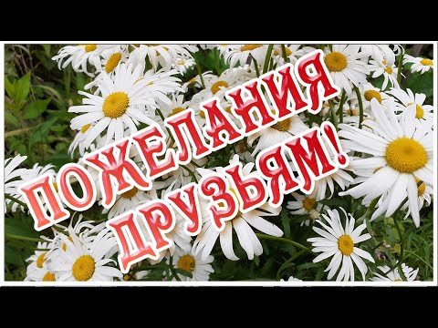 Для Вас Мои Друзья! Ловите Ромашки! Красивая Музыкальная Открытка С Пожеланиями!